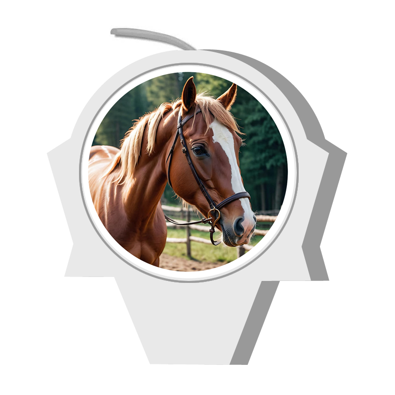 Bolo Tema Cavalo: Onde Comprar | BuscaProdutos