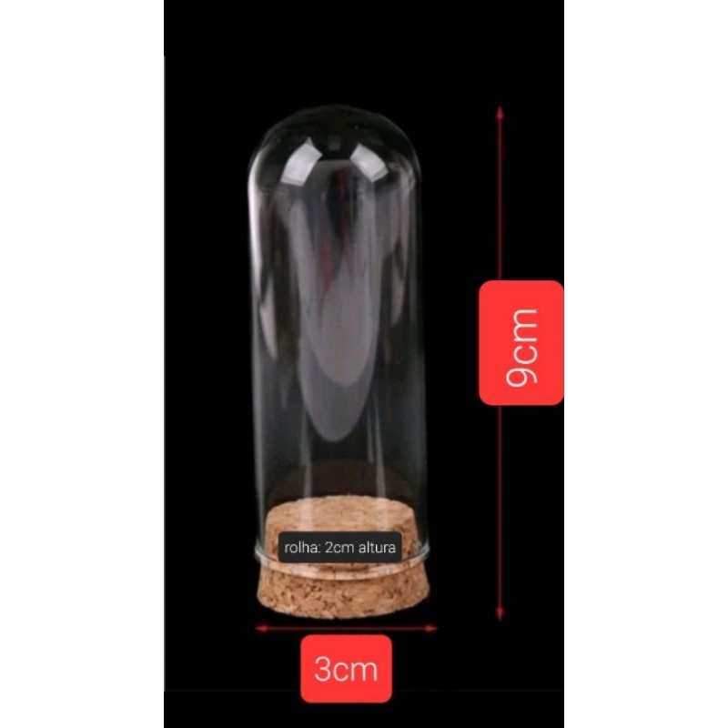 Cúpula com Rosa Lembrancinha: Onde Comprar | BuscaProdutos