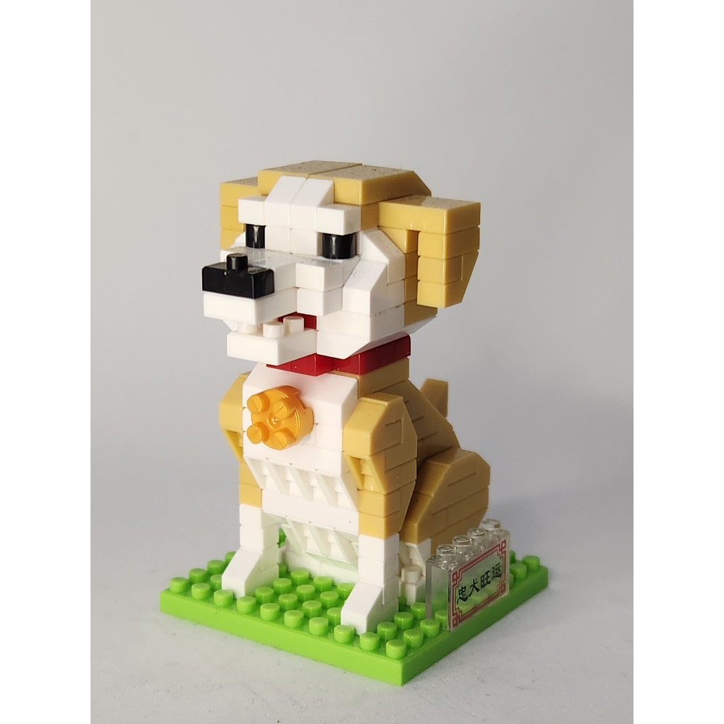 Cão Chines: Guia Completo e Onde Comprar | BuscaProdutos