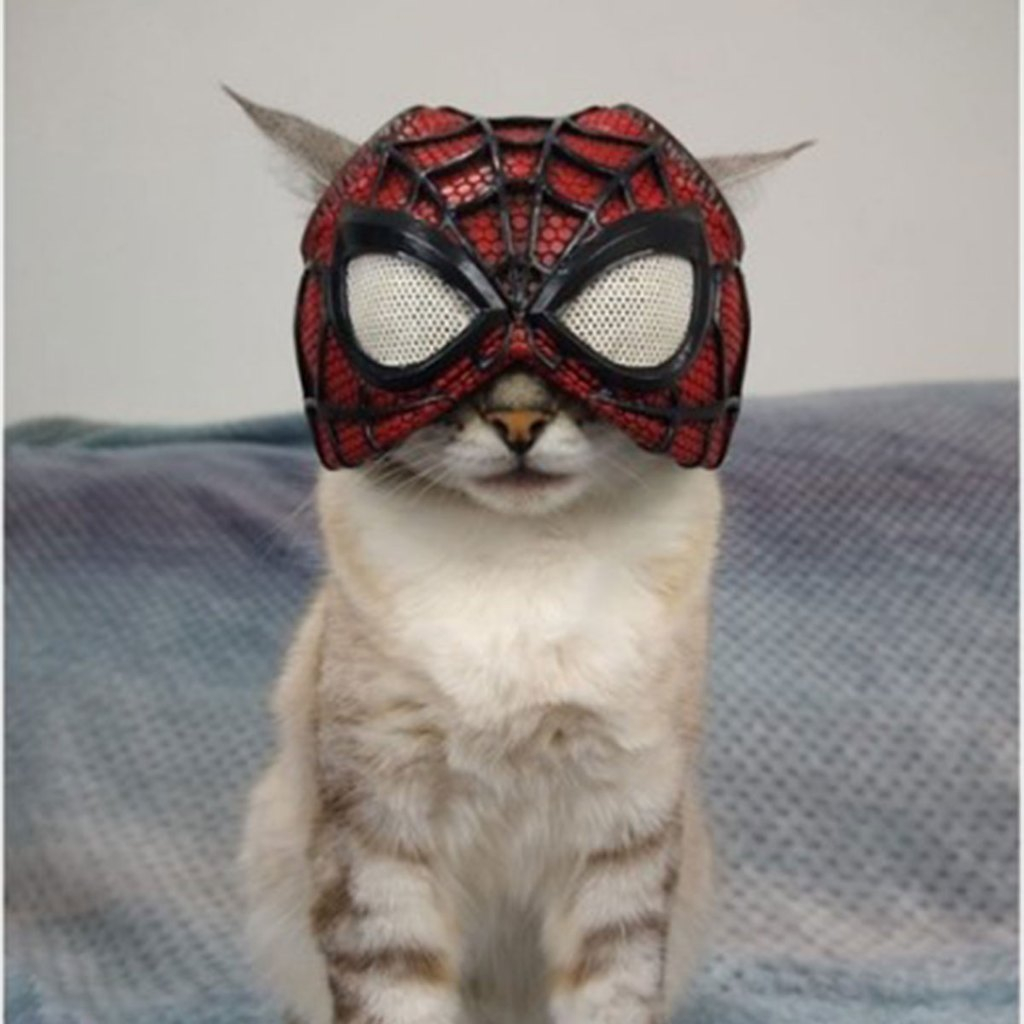SpiderMask Cat Máscara Homem Aranha Spider-Man para Gatos Acessório Pet Super Heroi 3D