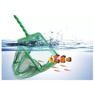 Rede Pequena N3 Polegadas Pegar Peixes Redinha Betta Aquário em Oferta na Shopee