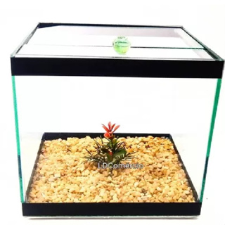 Aquário 8 litros Cubo 20x20 decorativo  Beteira Decorado Planta Artificial Pedras Vidro em Oferta na Shopee