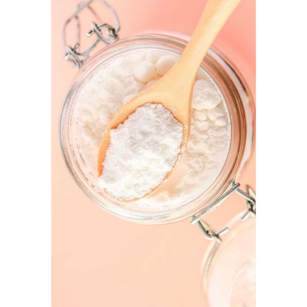Leite De Coco Em Pó Vegano Importado