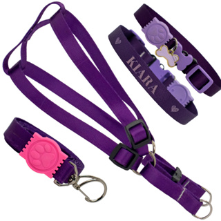 coleira com nome kit identificação para cães com peitoral em Oferta na Shopee