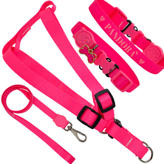 coleira com nome kit personalizado peitoral com guia cachorro em Oferta na Shopee