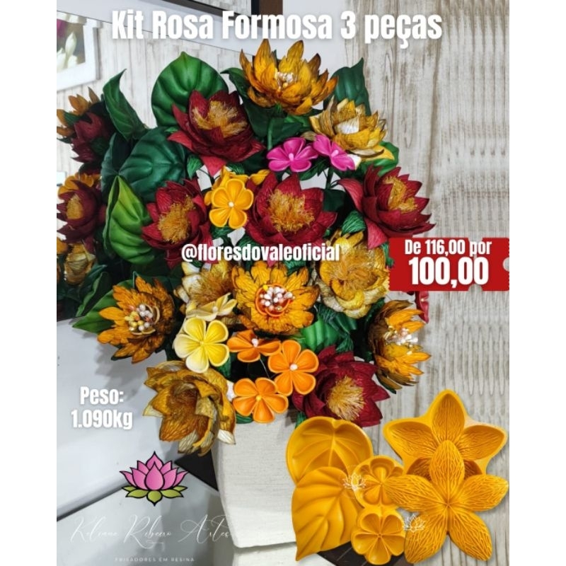 FRISADOR EM RESINA KIT ROSA FORMOSA 3 PEÇAS