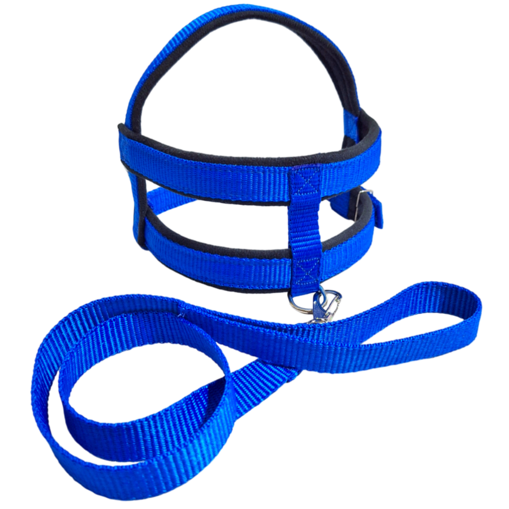 Coleira Peitoral Cachorro E Gato, Conjunto De Guia + Coleira Tipo Colete Para Pet Pequenos E Médios