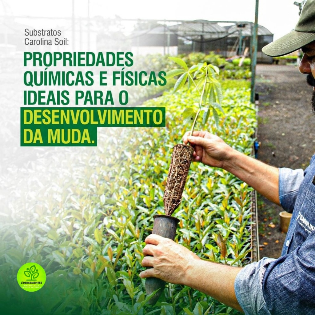 Detalhes do Substrato Carolina Soil Padrão 75H 45 Litros 8kg Hortaliças Rosas do Deserto Suculentas Morangos