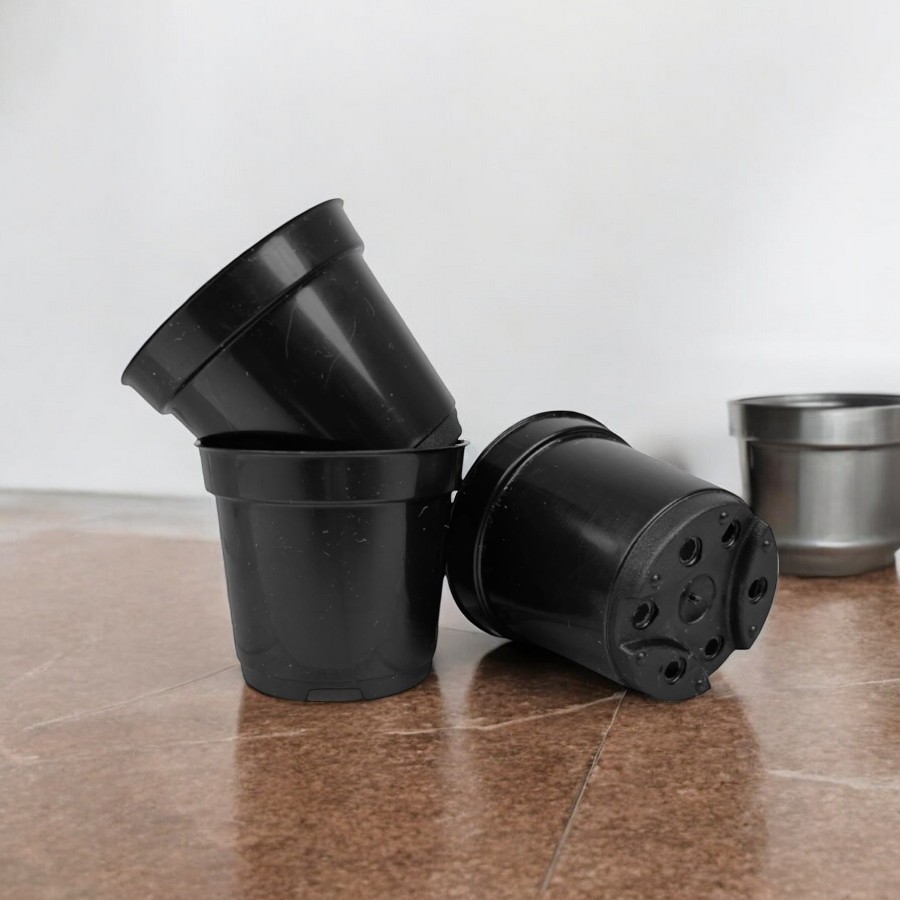 30 Vasos Plasticos Pote 6 Preto Para Cactos e Suculentas 80ml