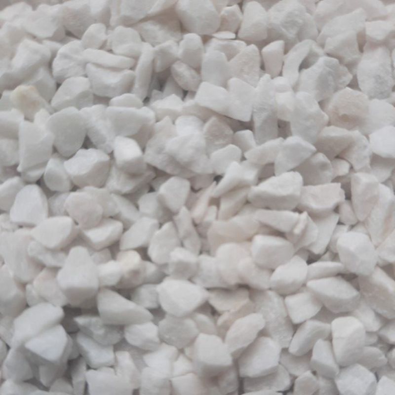 substrato aragonita 3mm aquário marinho e ciclideos 5kg