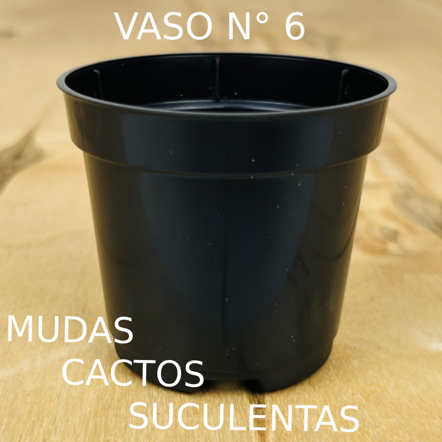 150 Vasos Plasticos Pote 6 Preto Para Cactos e Suculentas 80ml
