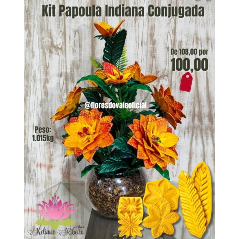 FRISADOR EM RESINA KIT PAPOULA INDIANA CONJUGADA