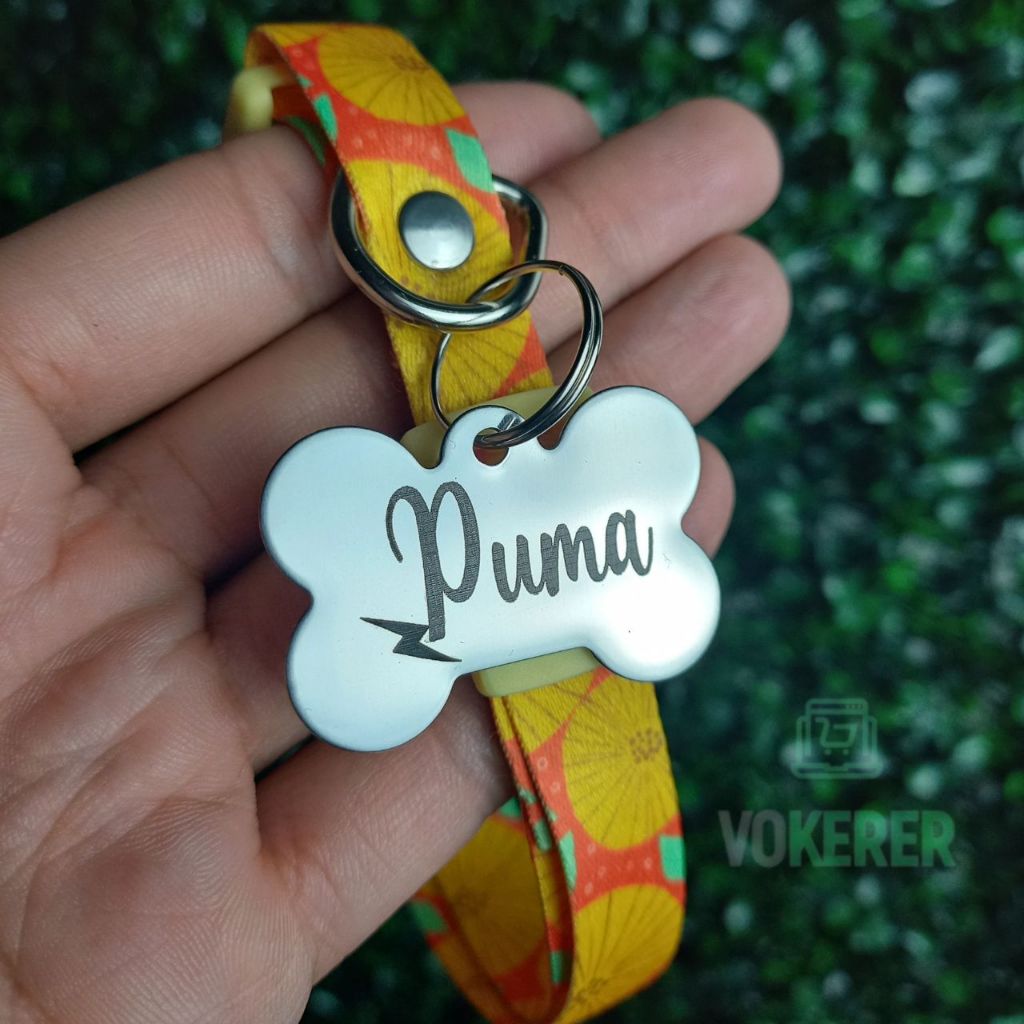 Coleira Cachorro com Plaquinha de Identificação Coleira para Cachorro Coleira Com Nome do Pet em Oferta na Shopee