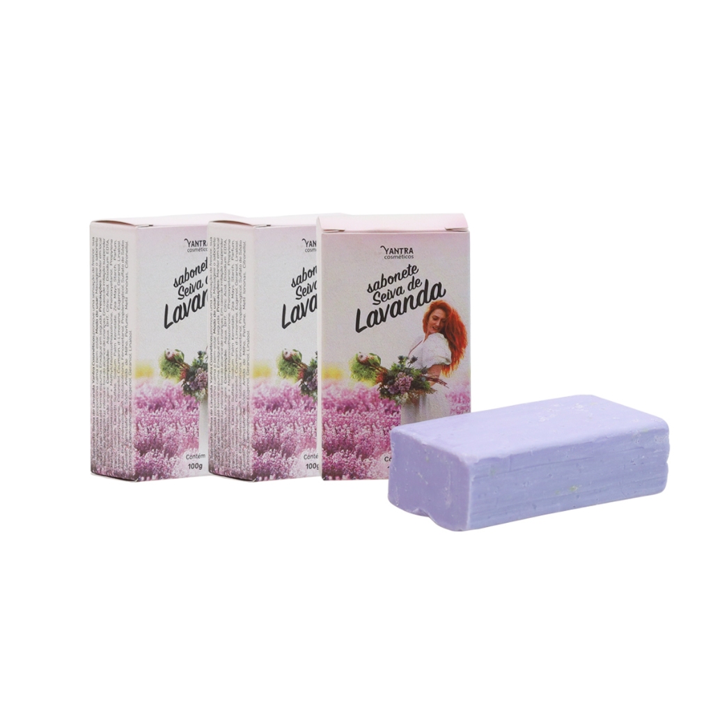 3 SABONETES EM BARRA LAVANDA - LINHA SEIVA DE LAVANDA - 100g CADA -