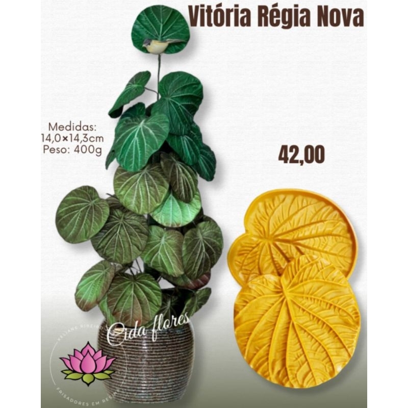 FRISADOR EM RESINA VITÓRIA RÉGIA NOVA