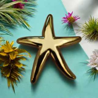 Fivela para Biquini Modelo Estrela Metal ou ABS Cor Dourado Pacote com 6pçs em Oferta na Shopee