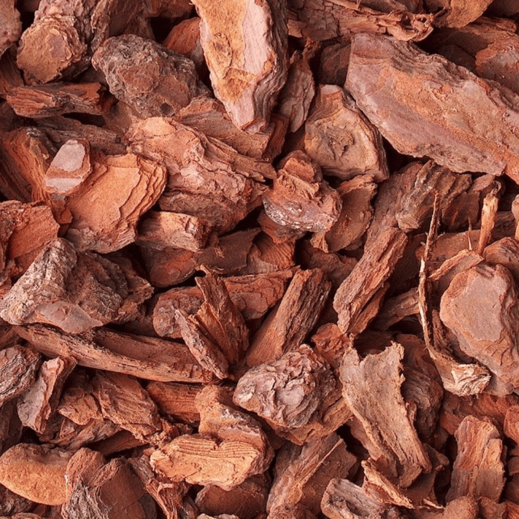 Casca de Pinus Selecionada Polida Media 5 Litros/1 Kg em Oferta na Shopee