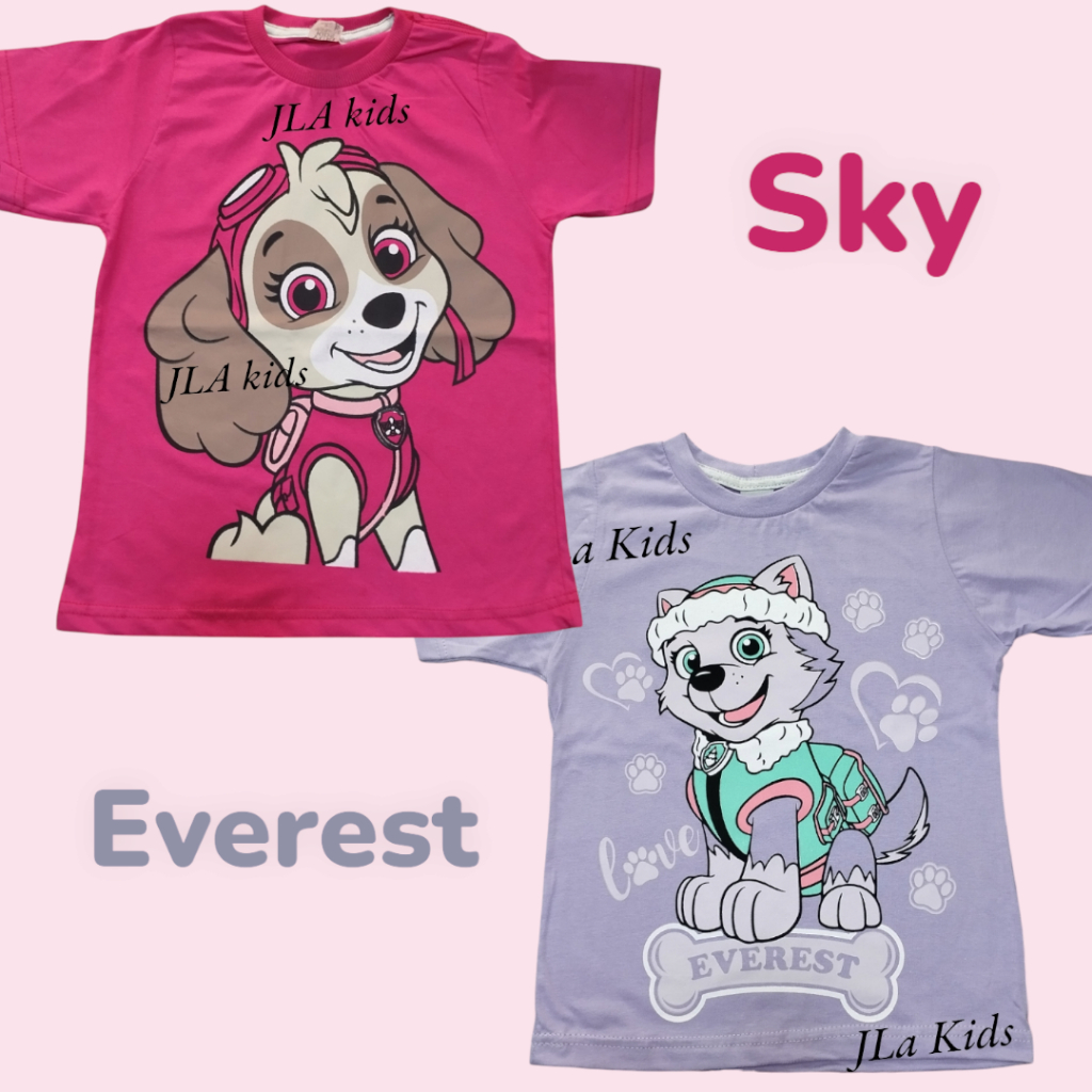 Sky da Patrulha Canina: Onde Comprar | BuscaProdutos