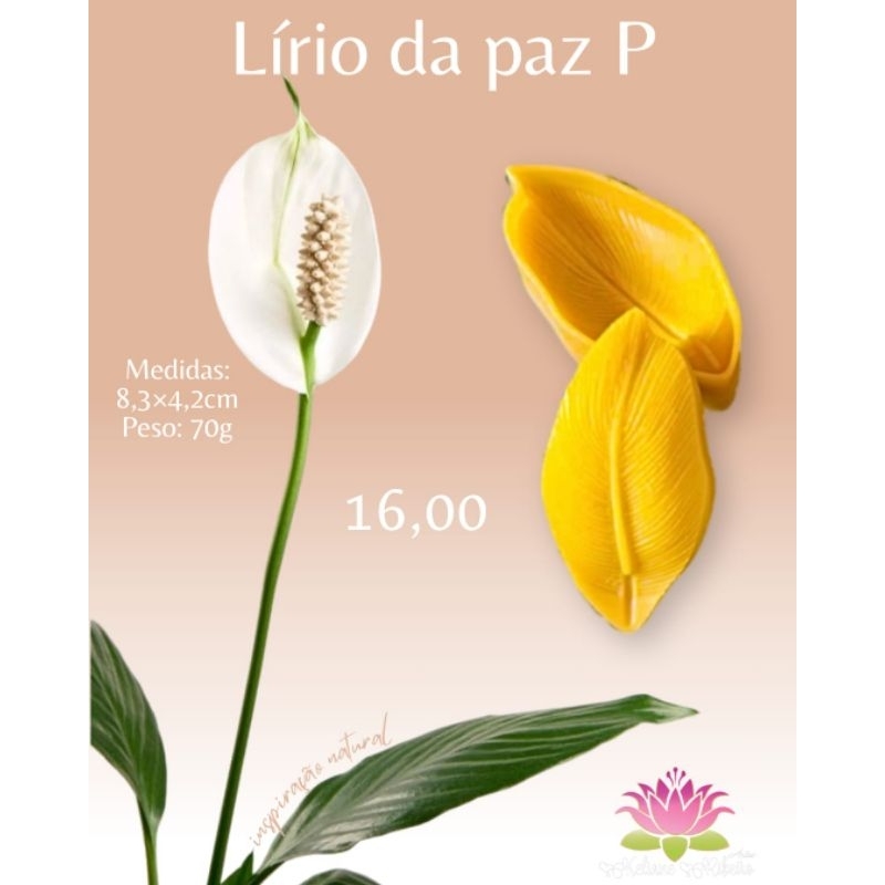 FRISADOR EM RESINA LÍRIO DA PAZ P