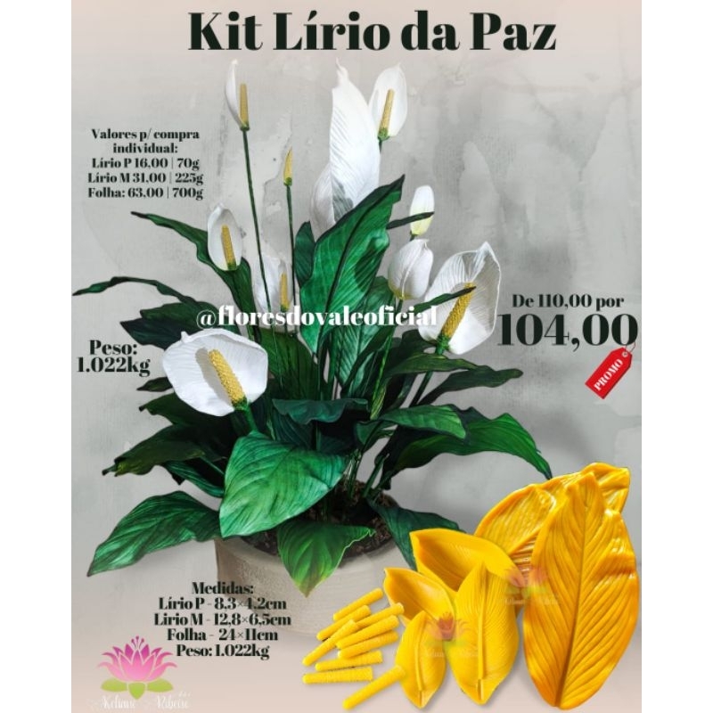 FRISADOR EM RESINA KIT LÍRIO DA PAZ
