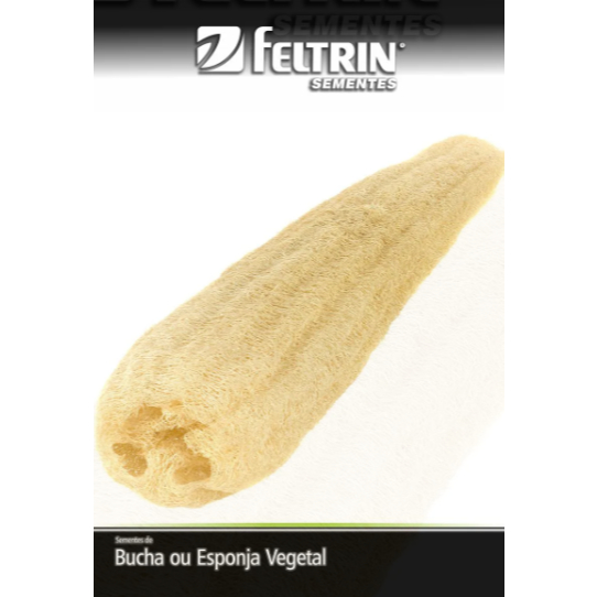 Sementes De Bucha Ou Esponja Vegetal 1 Envelope