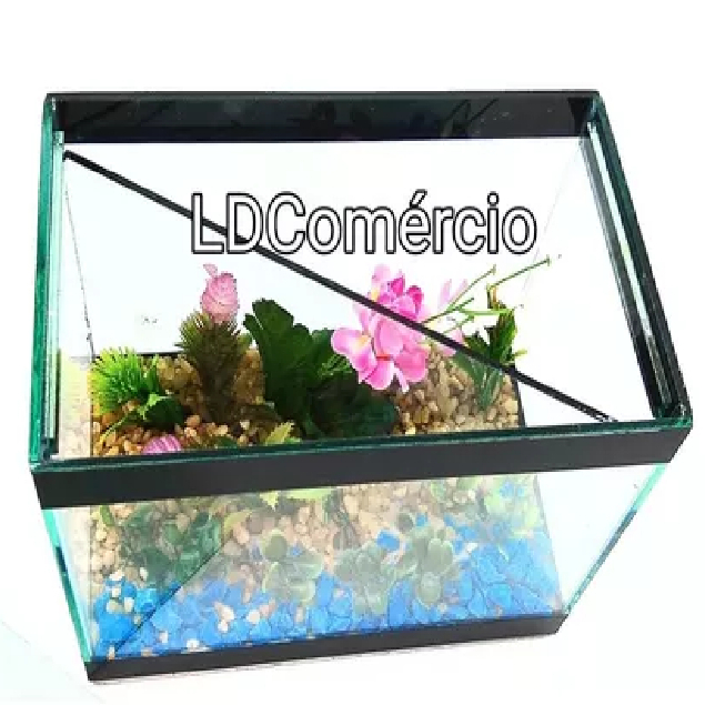 Aquário Invisível 20x12x14 Divisória Para 2 Bettas Beteira
