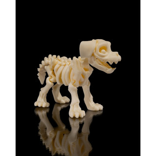 Boneco articulado esqueleto animais Cachorro, Gato, Girafa, coelho colecionavel Brinquedo articulado