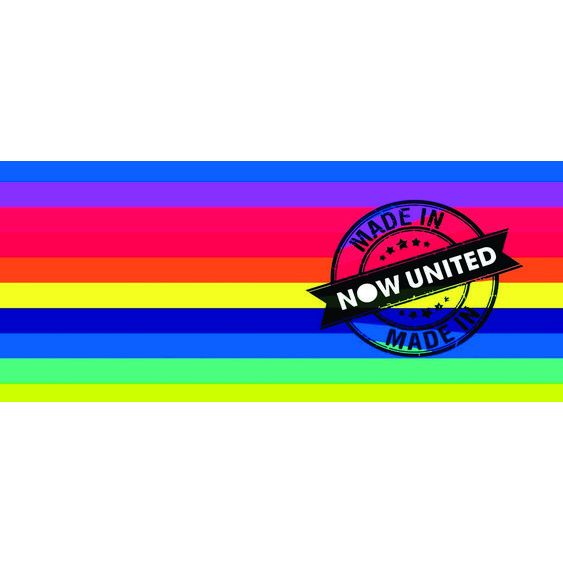 Painel de Festa em Lona 2x2m Personalizado em Lona Fosca - Tema Now United