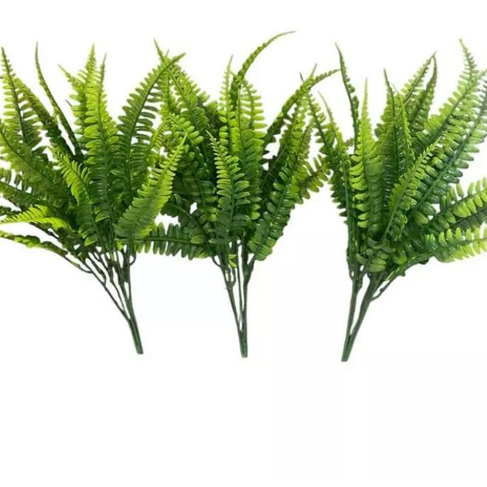 Kit 3 Buquê Samambaia Artificial Folhagem Arbusto Verde Decoração  Realista em Oferta na Shopee