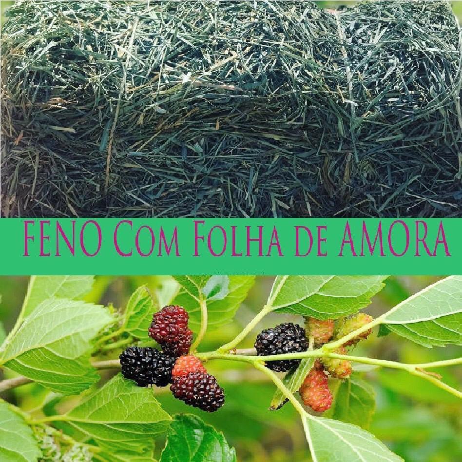 Kit 100gr Feno 12 sabores cenoura framboesa hortelã laranja maçã camomila calêndula amora cidreira hibisco