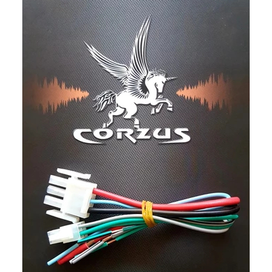 Chicote Corzus Cxs200 Cxt300 Par Original Caixa Corzus Som Automotivo