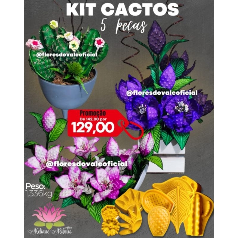 FRISADOR EM RESINA KIT CACTOS 5 PÇS