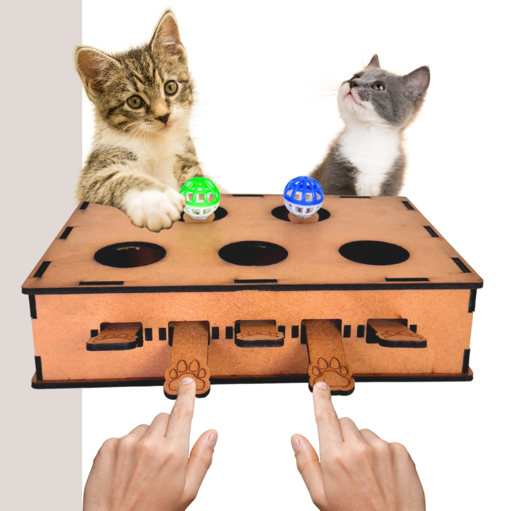 Cat Piano Para Gatos Brinquedo Interativo Pets Caixa com 5 Itens mdf - envio rapido