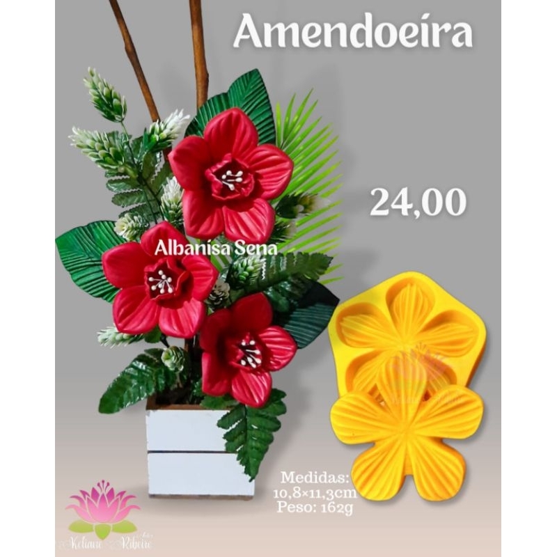 FRISADOR EM RESINA AMENDOEIRA