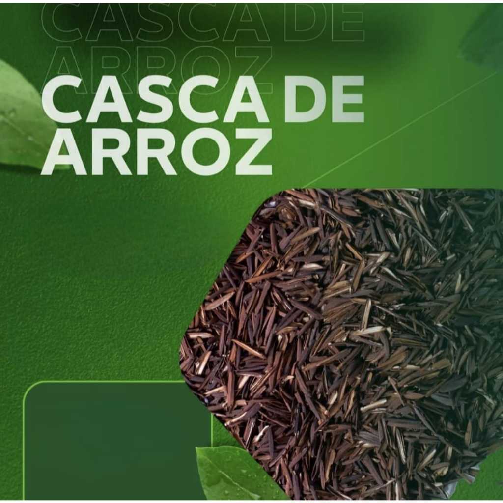 Arroz Orgânico: Guia Completo e Onde Comprar | BuscaProdutos