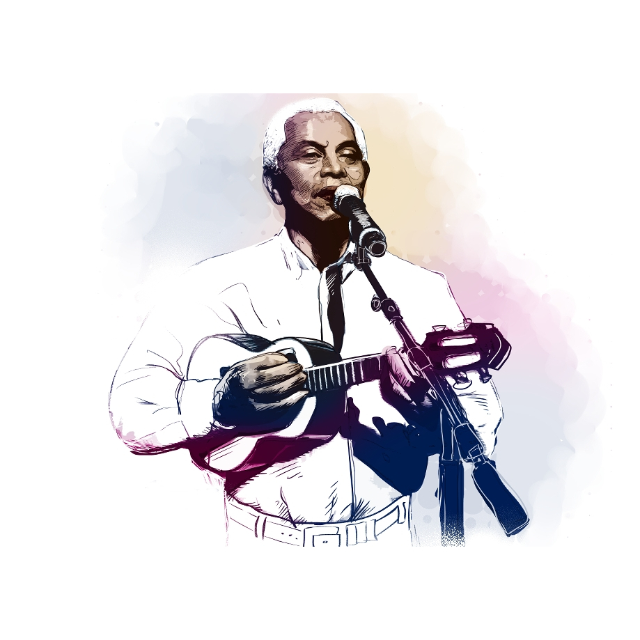 Pôster    - Paulinho Da Viola  -  MPB   - Decora - 33 Cm X 48 Cm