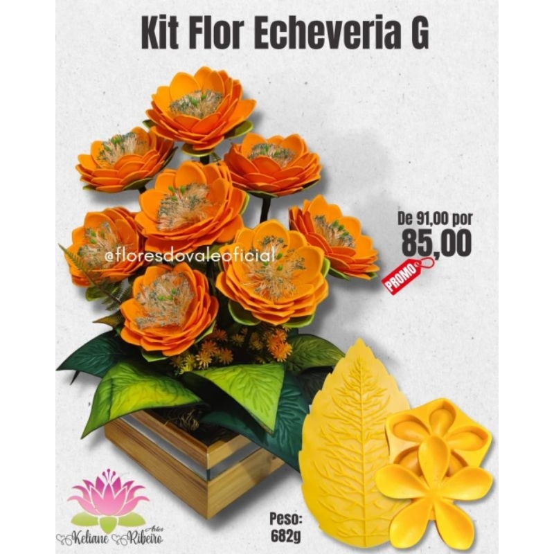 FRISADOR EM RESINA KIT FLOR ECHEVERIA
