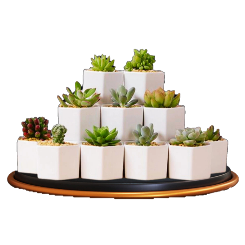 Kit 12 Vasos de Gesso Octagonal Branco para Suculentas ou Lembrancinha, alta Qualidade e Resistência