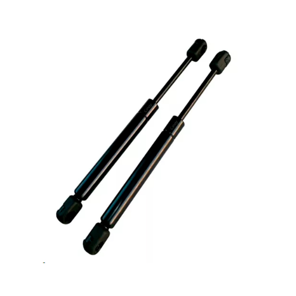 Pistão Tampa Palio Fire 1996 1997 1998 1999 2000 2001 2002 2003 2004 2005 2006 2007  Par