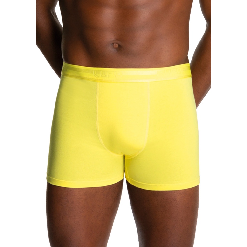 Cueca Masculina Algodão Elastano: Onde Comprar | BuscaProdutos