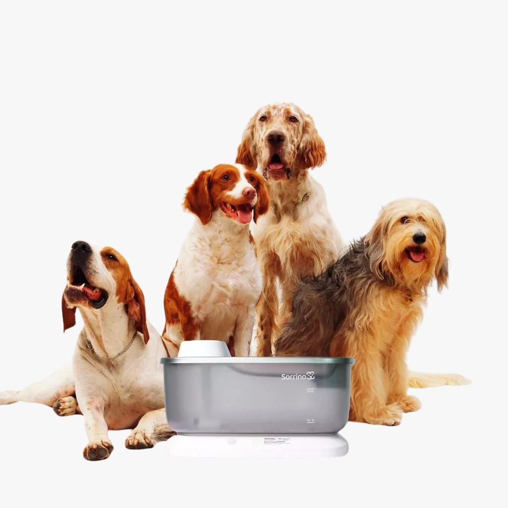 Bebedouro Pet 7 Litros Inteligente Sensor de Água Elevado Para Gatos e Cães Automático Com Super Filtro - Pets