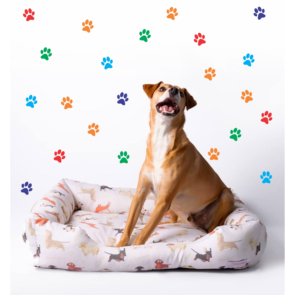 Kit 60 Adesivos Patinhas de Cachorro Patinhas Adesivas 5cm cada Decoração PetShop Fácil Aplicação