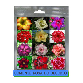 Semente Rosa do deserto cores sortidas 20 unidades em Oferta na Shopee