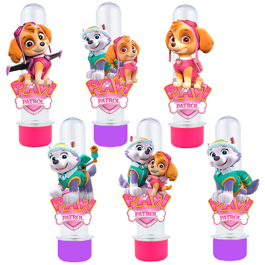 Kit 15 Tubetes Skye e Everest em Oferta na Shopee