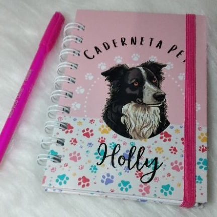 CADERNETA PET, CADERNETA DE VACINAÇÃO PERSONALIZADA em Oferta na Shopee