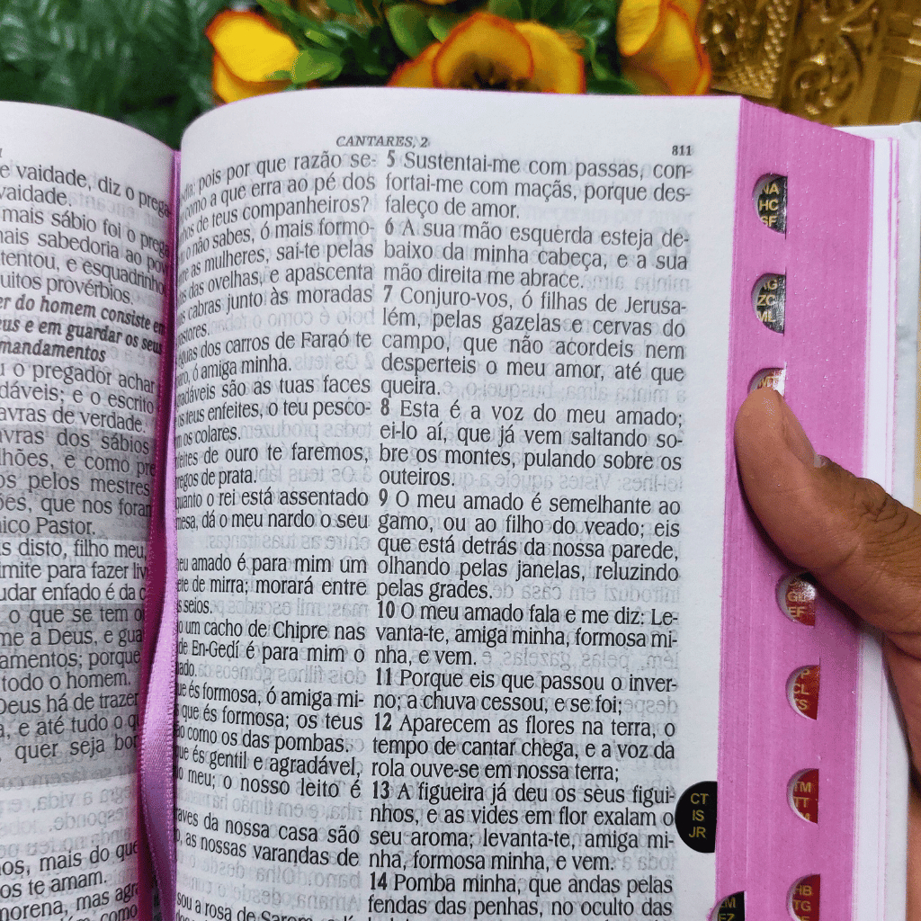 Bíblia Feminina Evangélica Letra Hiper Gigante Jesus destacada Revista Corrigida Ferreira Almeida