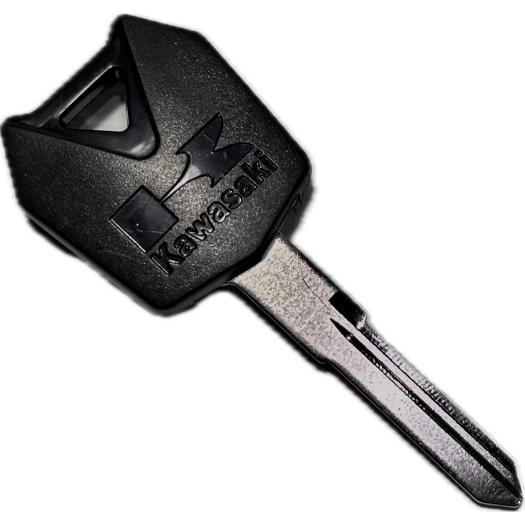 Kawasaki Versys 300: Onde Comprar | BuscaProdutos