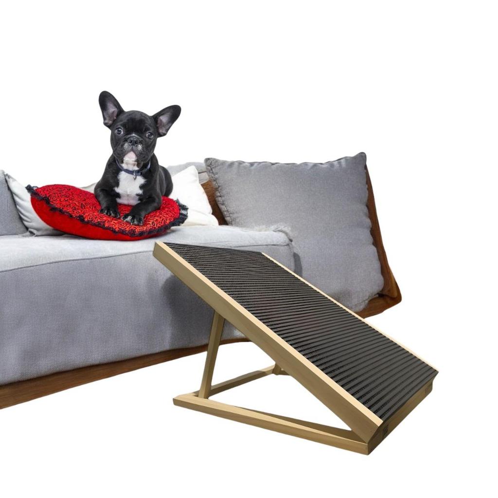 Rampa Cachorro Grande: Onde Comprar | BuscaProdutos