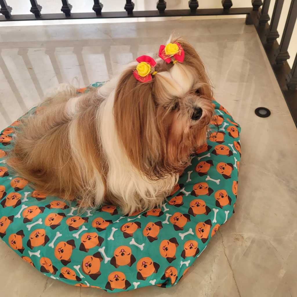 Novidade Pet Lençol para Caminha Pet ficar Sempre Limpinha. Durma como um Cão e Acorde como Rei. Entrega Rápida.