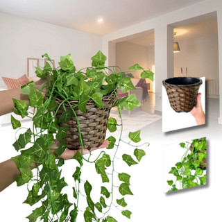 Plantas Decorativa: Vasos Trançado Marrom + Pendentes Artificial Folhas De Hera